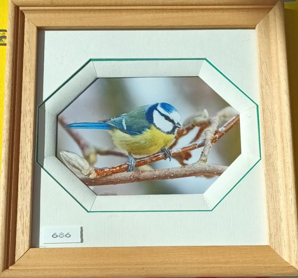 686-Mésange